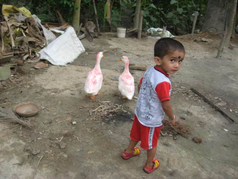Srijan with two ducks